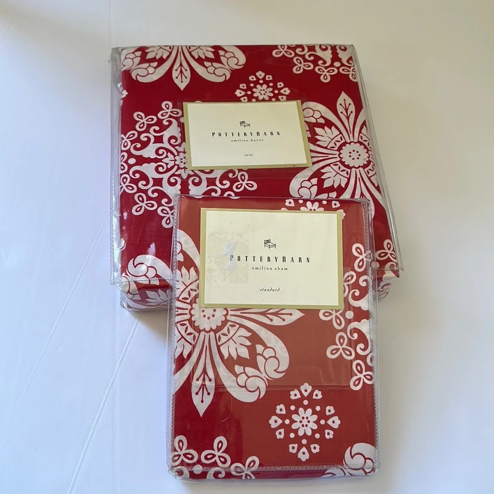 Pottery Barn Emilina twin duvet with standard sham
